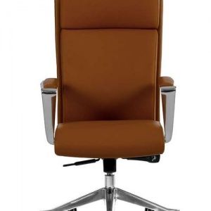 CEO