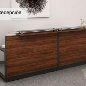 Módulo Recepción Aperto Q´ADRO (INM-RPM300)